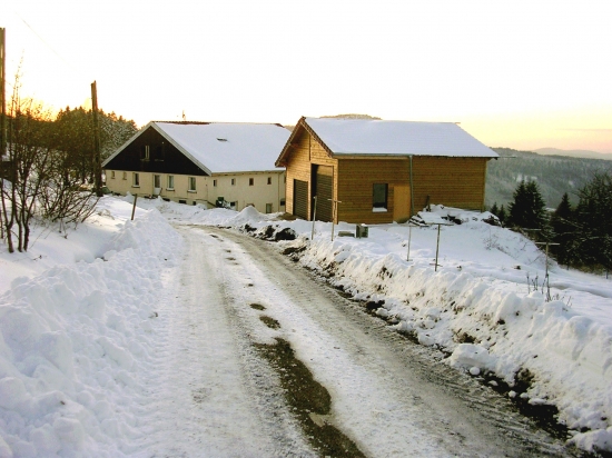 neige; hiver; csapa