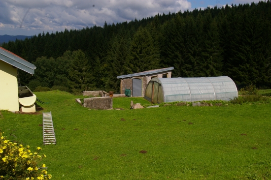 serre; jardinage; activite; cs