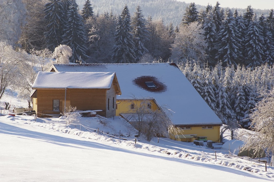 Vue du centre haut des frêts sous la neige